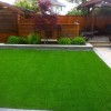 Vancouver SYNLawn®