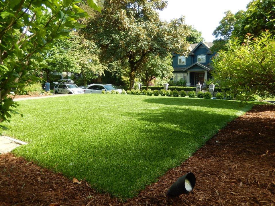 After...with SYNLawn artificial grass