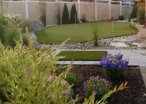 Backyard putting green oasis