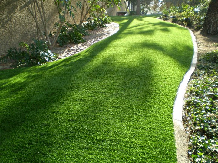 Looks like natural grass but is synthetic grass