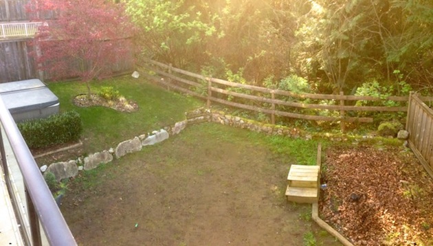 Before SYNLawn team came to transform Dylan's yard.