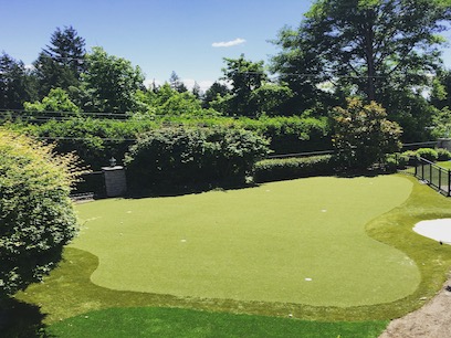 Home putting green