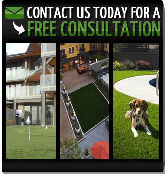 Free Consultation